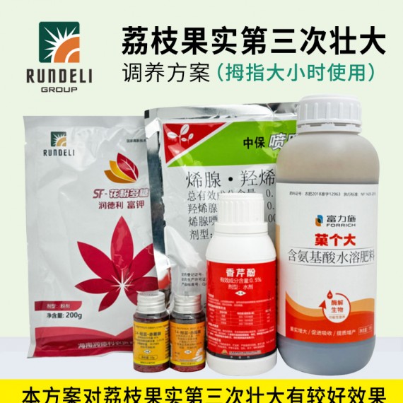 【荔枝果實(shí)第三次壯大】專(zhuān)用調(diào)養(yǎng)方案
