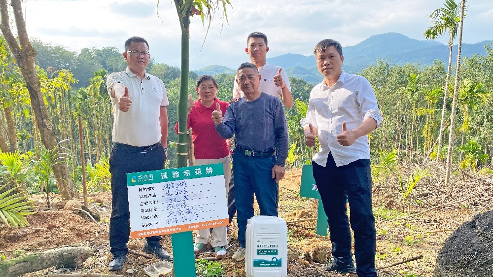 富力施魚蛋白肽有機(jī)水溶肥料，多場試驗(yàn)示范證明其效果顯著