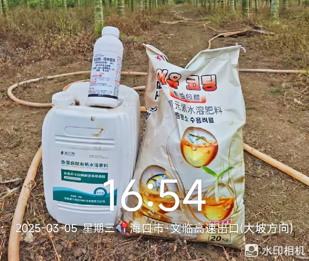雙肥出擊！魚蛋白 + 魚油包膜為海南作物賦能